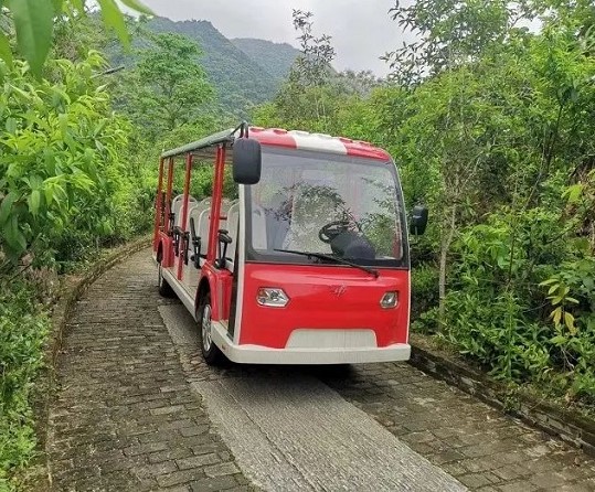 1732262306942199.jpg 11.jpg